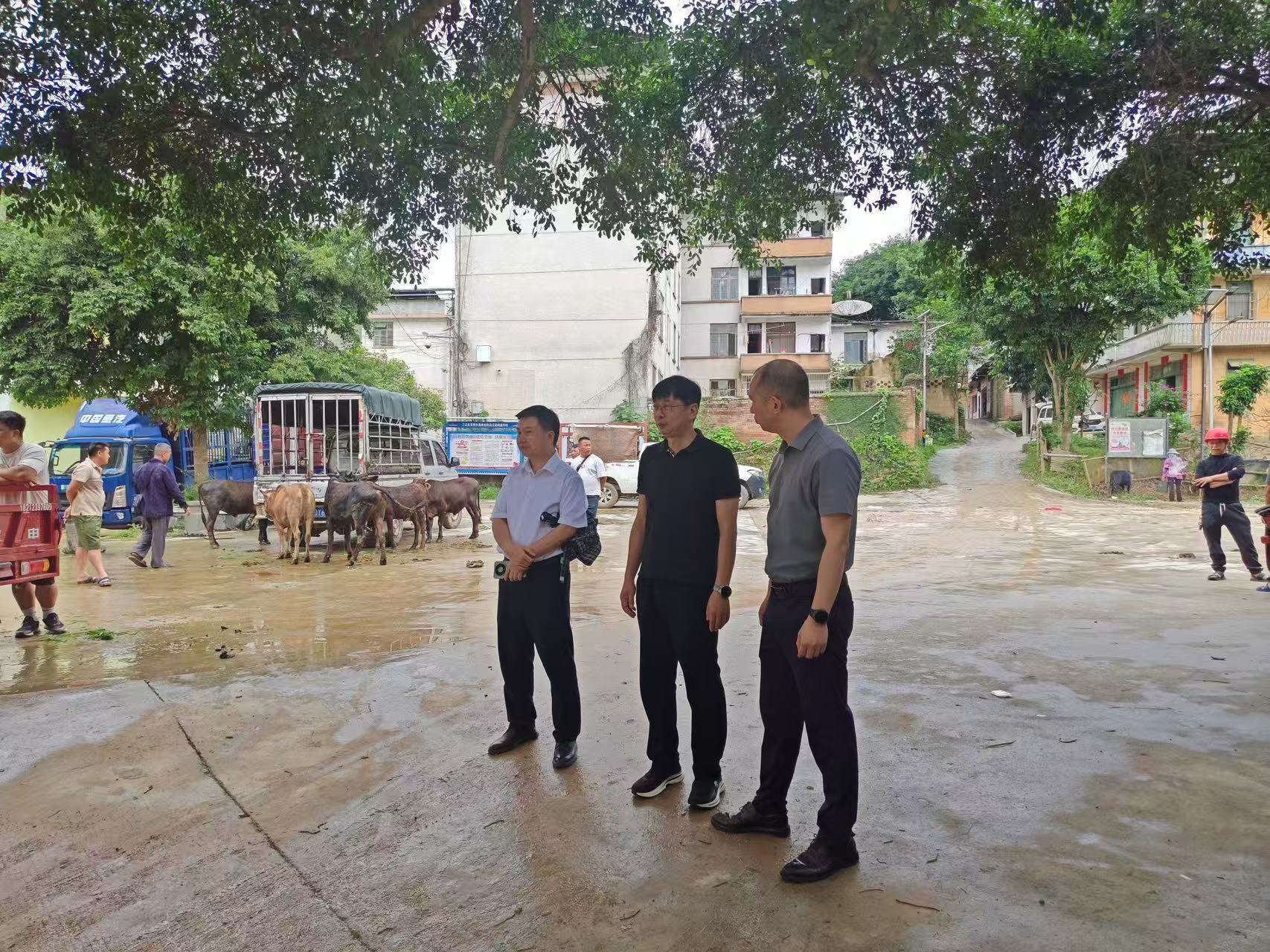 县委副书记、县长陈震到富禄苗族乡检查指导防汛工作 龙文灏摄.jpg