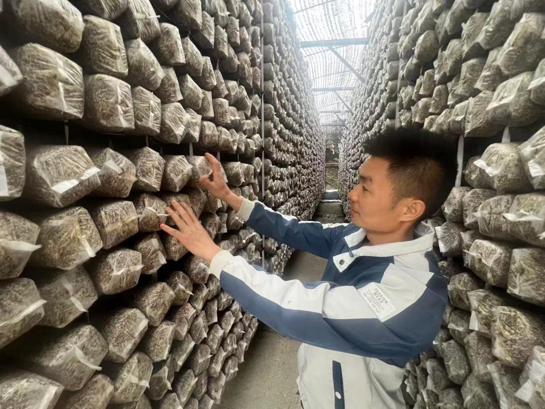 图片7.jpg